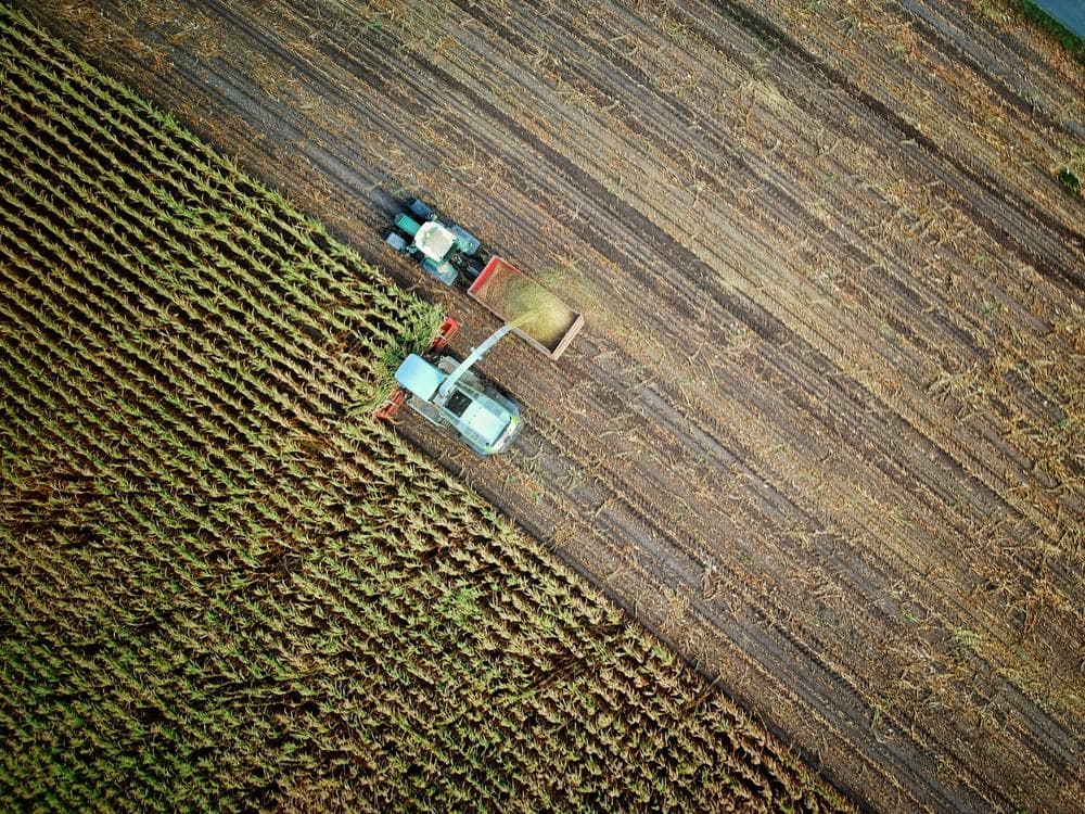 Aerial view of a harvester cutting rows of crops in a field